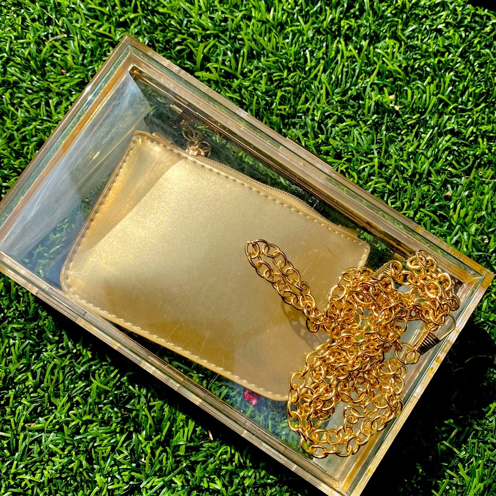 Clear clutch with chain.